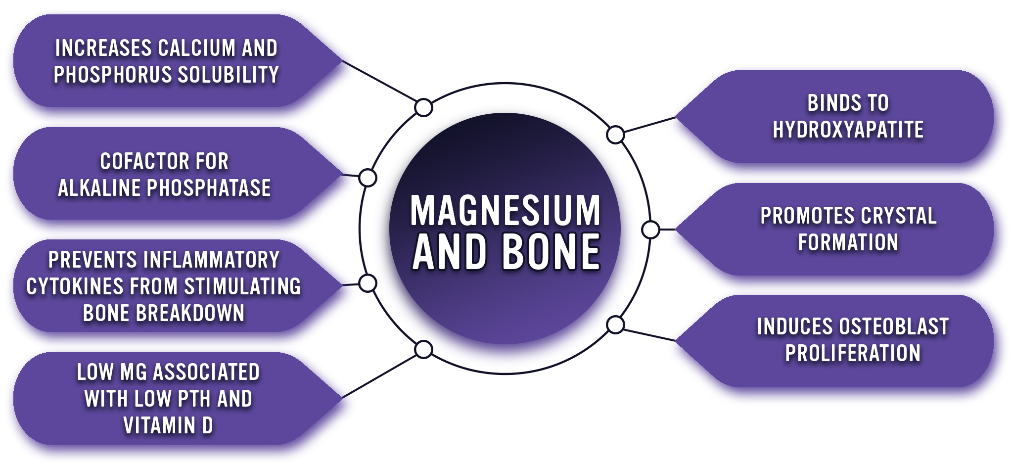 magnesium-and-bone-better-bones-better-body