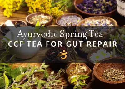 CCF Tea for Gut Repair: Your Gentle Ayurvedic Reset for Bloating and Digestion